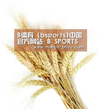 B体育 (bsports)中国官方网站-B SPORTS