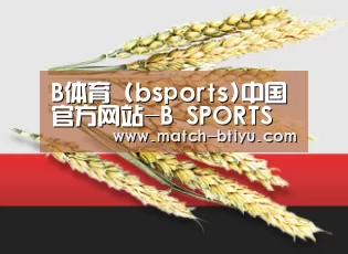 B体育 (bsports)中国官方网站-B SPORTS