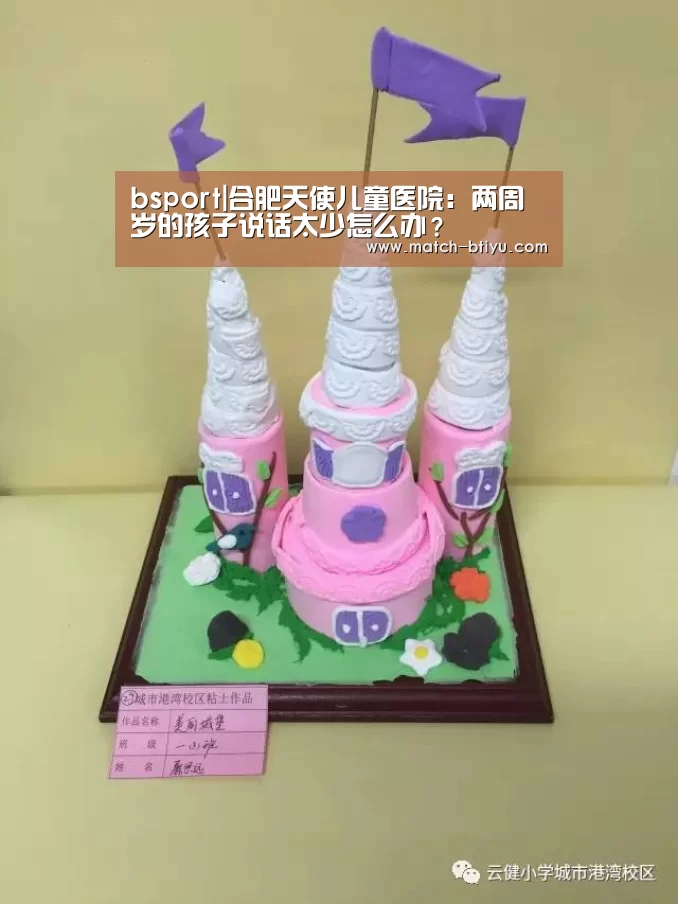 bsport中国官网